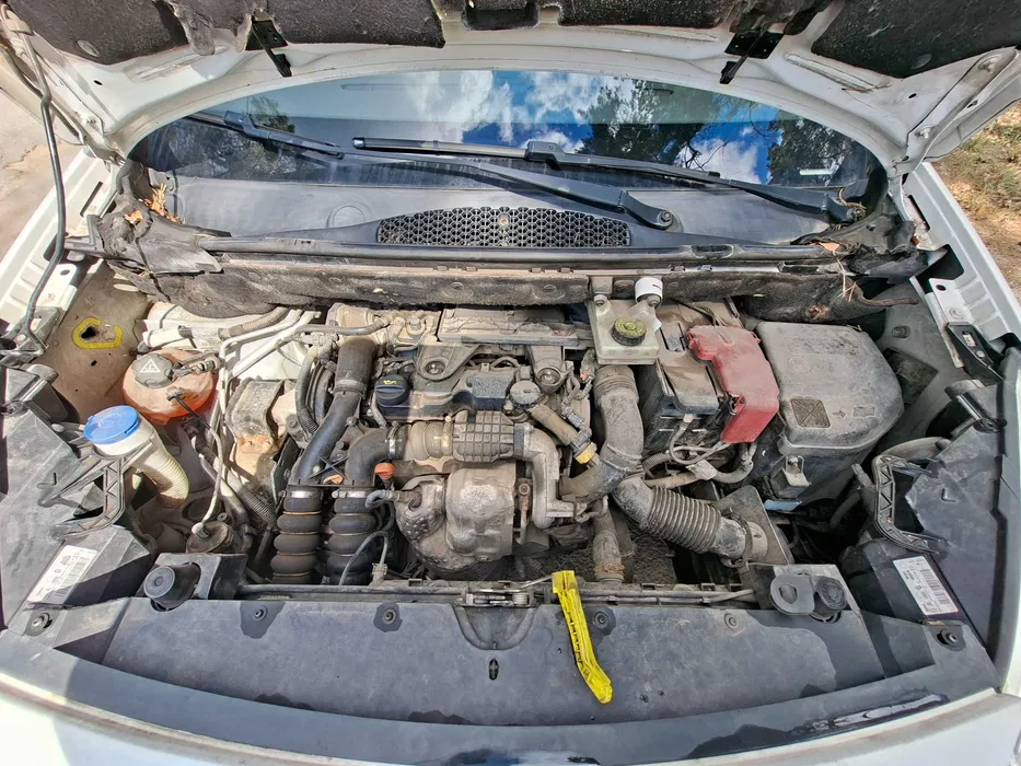 Berlingo 5